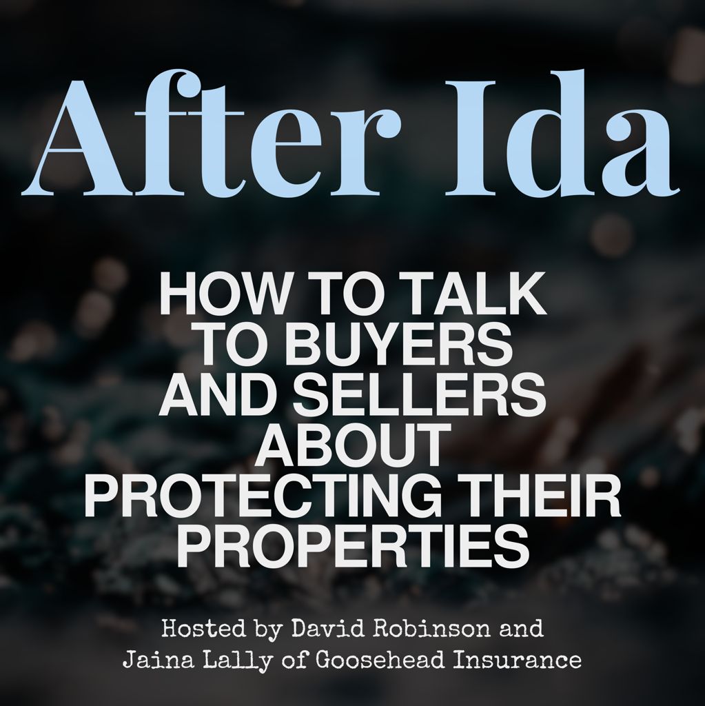 After Ida flyer