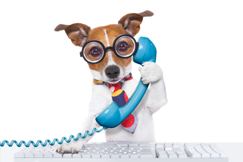 dogwithphone